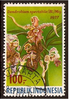 Indonesia 1977 100r. Multicoloured. SG1486.
