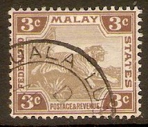 Federated Malay States 1904 3c Grey and brown. SG32.