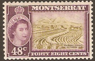 Montserrat 1953 48c Yellow-olive and purple. SG145a.