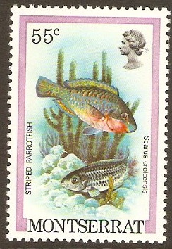 Montserrat 1981 55c Fish Series. SG497.