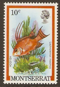 Montserrat 1981 10c Fish Series. SG556.