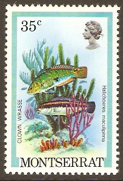 Montserrat 1981 35c Fish Series. SG560.