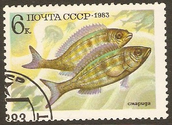 Russia 1983 Fishes Series. SG5348.