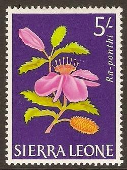 Sierra Leone 1963 5s Flowers Series. SG252.