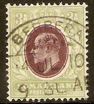 Somaliland Protectorate 1905 3a Chocolate and grey-green. SG49.