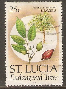 St Lucia 1990 25c Endangered Trees Series. SG1084.