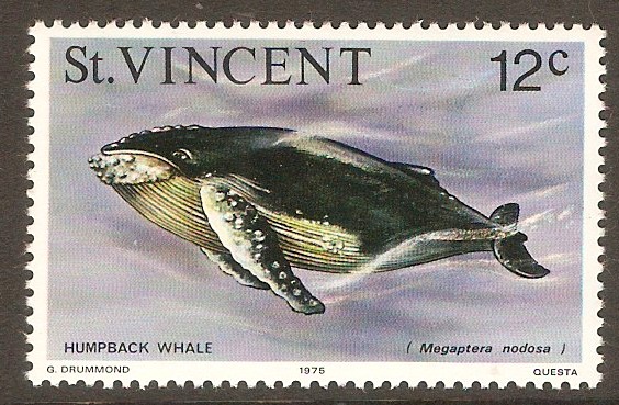 St Vincent 1975 12c Marine Life series. SG430.
