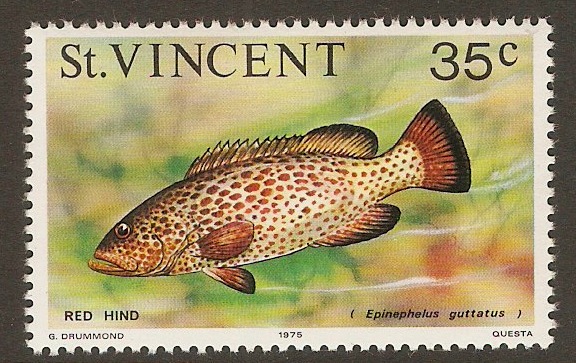 St Vincent 1975 35c Marine Life series. SG435.