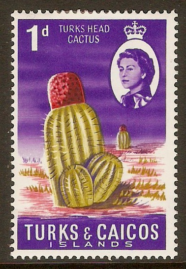 Turks and Caicos 1967 1d Turk's-head Cactus Stamp. SG274.