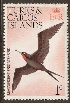 Turks and Caicos 1973 1c Birds Series. SG382.