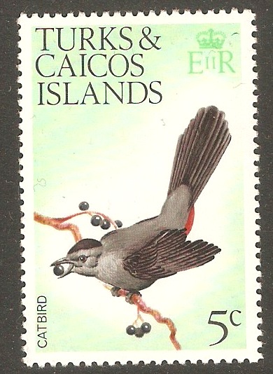 Turks and Caicos 1973 5c Birds Series. SG386.