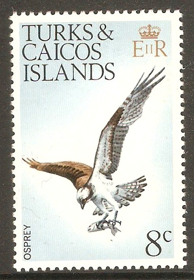 Turks and Caicos 1973 8c Birds Series. SG388.
