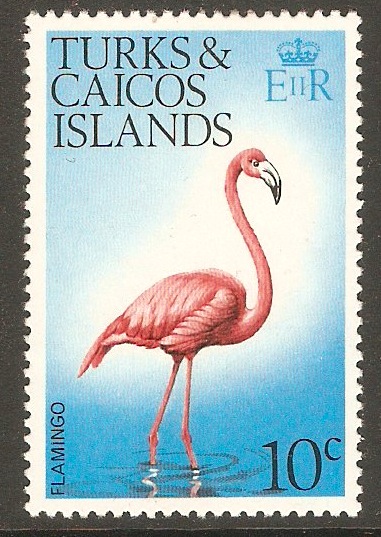 Turks and Caicos 1973 10c Birds Series. SG389.