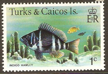 Turks and Caicos 1978 1c Fishes Series. SG514A