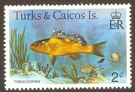 Turk and Caicos Islands 1978 2c Fishes series. SG515A.