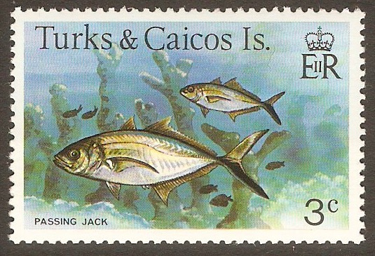 Turk and Caicos Islands 1978 3c Fishes series. SG516A.