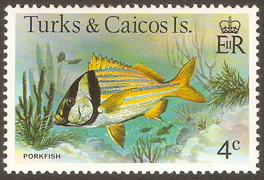 Turk and Caicos Islands 1978 4c Fishes series. SG517A.