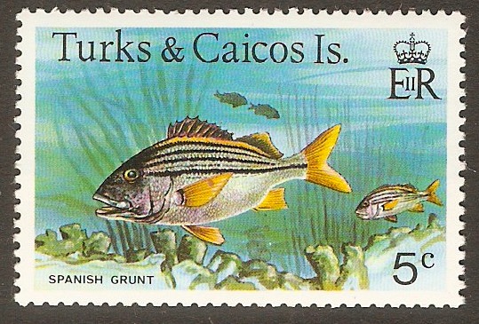 Turk and Caicos Islands 1978 5c Fishes series. SG518A.