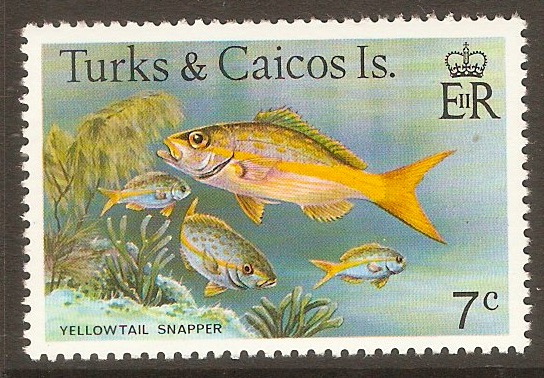 Turk and Caicos Islands 1978 7c Fishes series. SG519A.