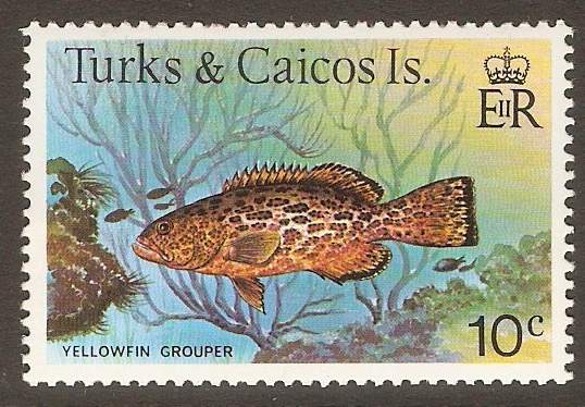 Turks and Caicos 1978 10c Fishes Series. SG521A.