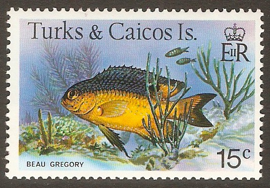 Turks and Caicos 1978 15c Fishes Series. SG522A.