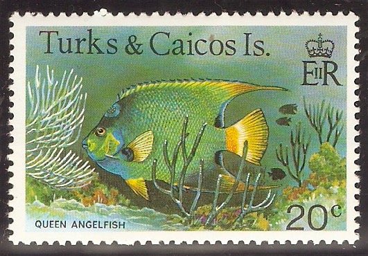 Turks and Caicos 1978 20c Fishes Series. SG523A.