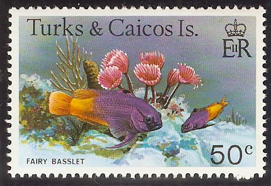 Turks and Caicos 1978 50c Fishes Series. SG525A.
