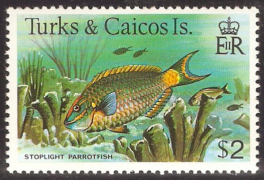 Turk and Caicos Islands 1978 $2 Fishes series. SG527A.