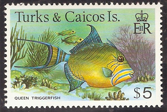 Turks and Caicos 1978 $5 Fishes Series. SG528A.
