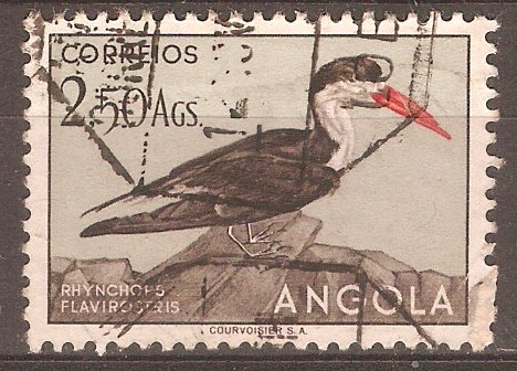Angola 1951 2a.50 Birds series - African skimmer. SG466.