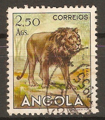 Angola 1953 2a.50 Fauna series - Lion. SG497.
