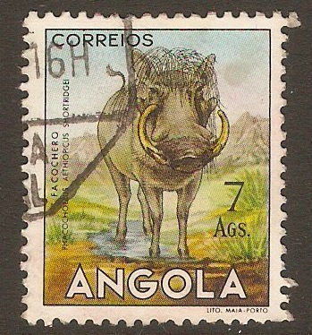 Angola 1953 7a Fauna series - Warthog. SG502.