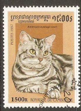 Cambodia 1997 1500r Cats series. SG1661.