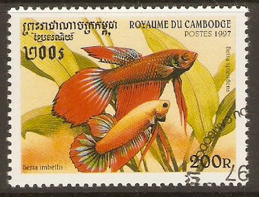 Cambodia 1997 200r Fishes series. SG1702.