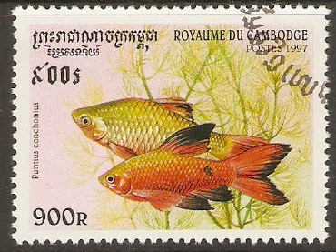 Cambodia 1997 900r Fishes series. SG1704.
