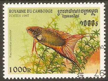 Cambodia 1997 1000r Fishes series. SG1705.