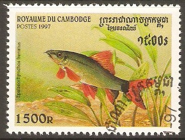 Cambodia 1997 1500r Fishes series. SG1706.