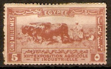 Egypt 1925 5m Brown - Agricultural Exhibition. SG126.