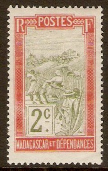Madagascar 1908 2c Olive and red. SG54.