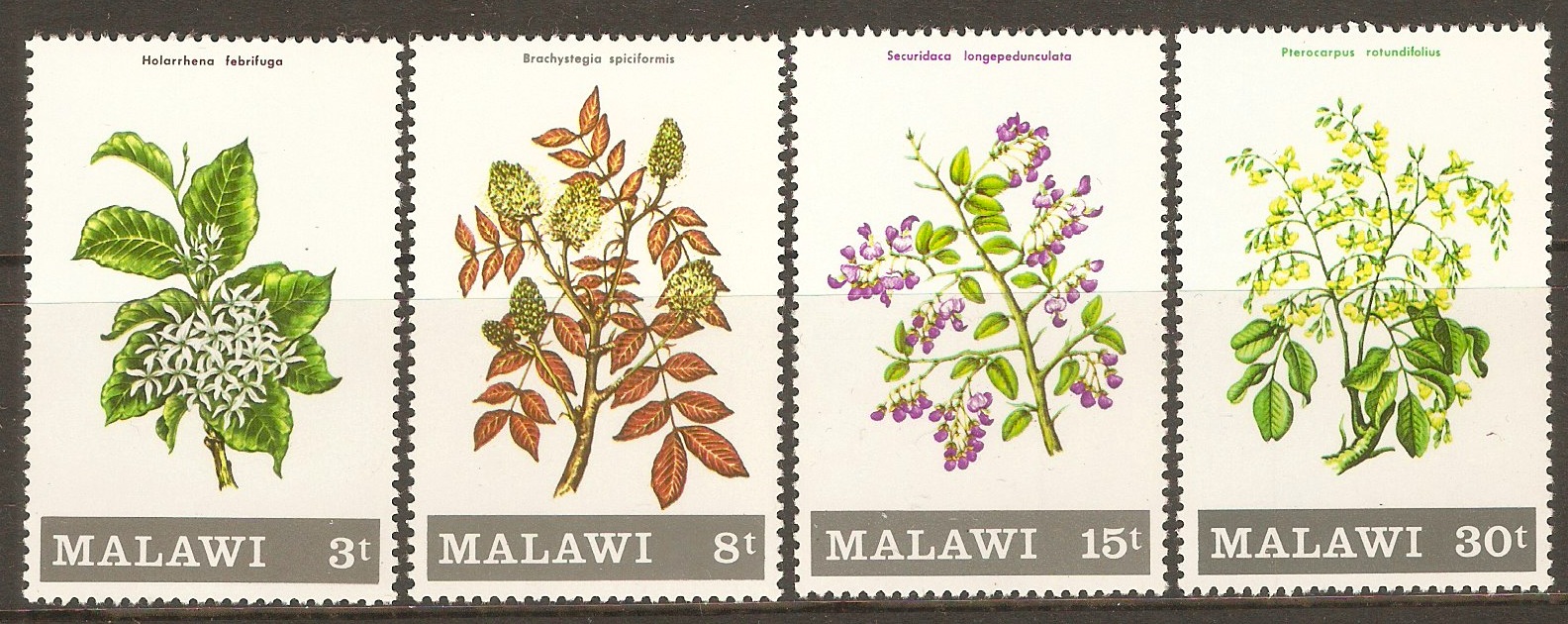 Malawi 1971 Flowering Shrubs and Trees set. SG397-SG400.