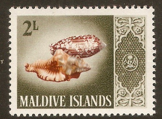 Maldives 1966 2l Shells series. SG174.