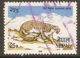 Nepal 1984 25p Snow leopard - Wildlife series. SG449.