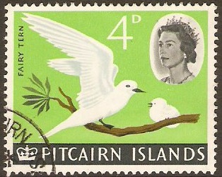 Pitcairn Islands 1964 4d Bird Series-White Tern. SG40.