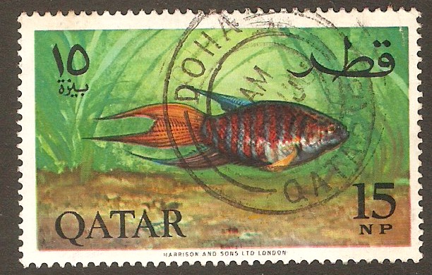 Qatar 1965 15np Fish series. SG75.