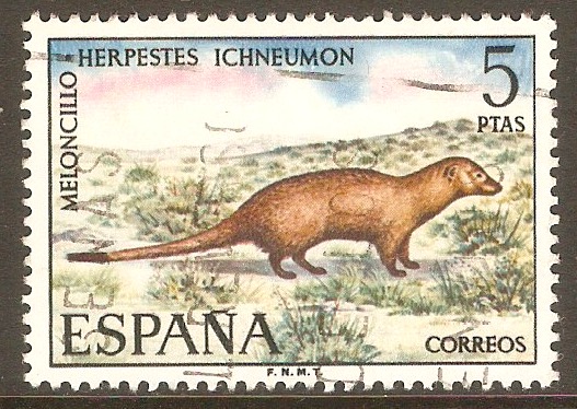 Spain 1972 5p Fauna series - Mongoose. SG2163.