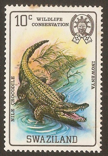 Swaziland 1980 10c Nile Crocodile. SG365.