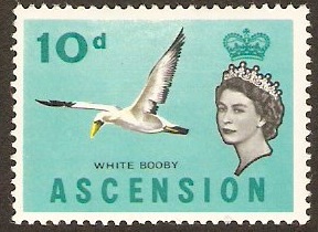 Ascension 1963 10d Birds Series. SG77.