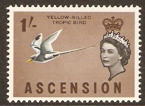 Ascension 1963 1s Birds Series. SG78.