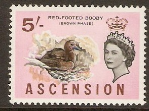Ascension 1963 5s Birds Series. SG81.