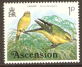 Ascension 1976 1p Birds Series. SG199
